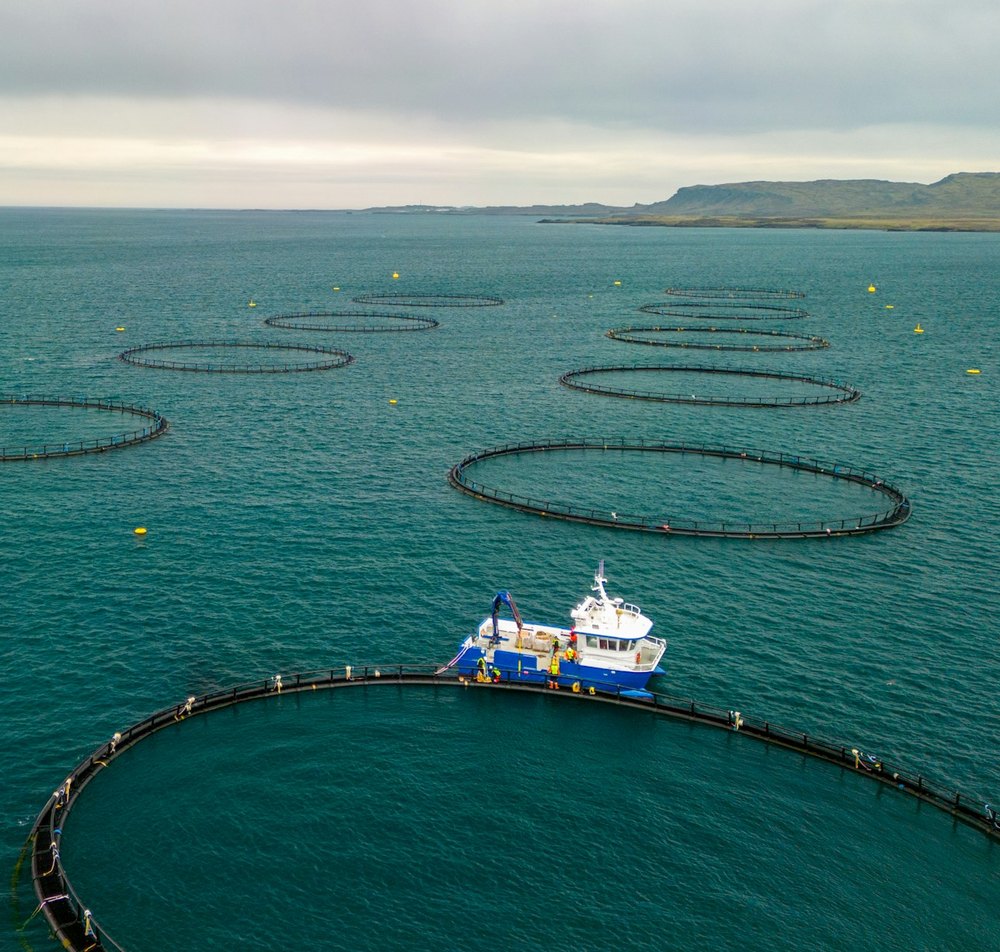 Fish farm cages at sea, aerial view