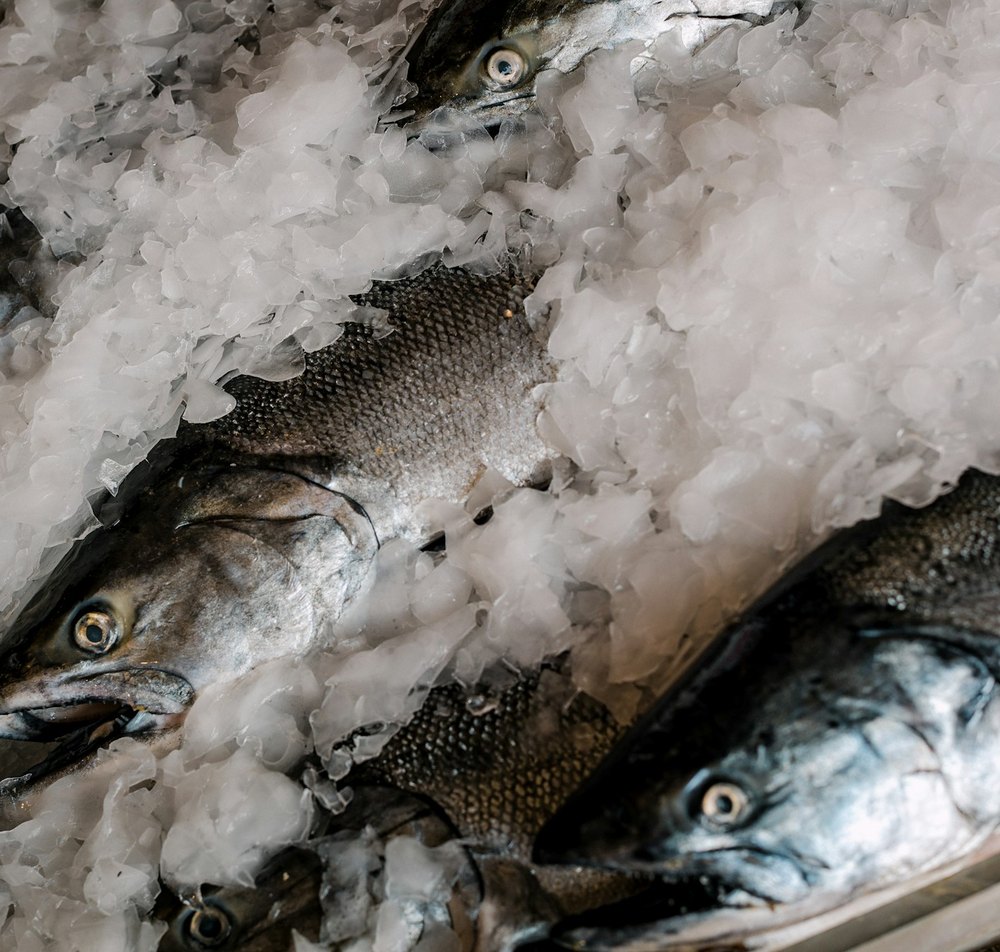 Fresh fish packed in ice