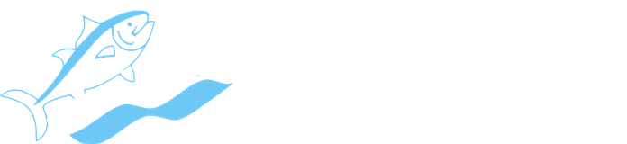 Denizer Transport